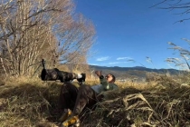 “打鸟”一年花掉一辆保时捷 观鸟热潮席卷全国