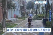 男子剪断小区网线变卖被抓获 铜价上涨诱发盗窃