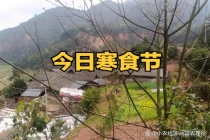 今日寒食节 老传统要记得 五件重要事