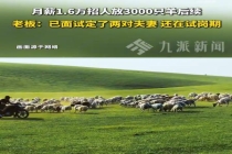 月薪1.6万放羊已有两对夫妻上岗 牧区生活引关注