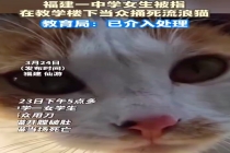 福建仙游一中学附近接连有猫被害 警方回应