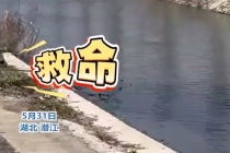 大叔路边游玩时见男孩落水呼救，立马跳进河里2分钟成功救回