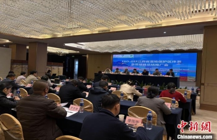 
                    “FAO-GEF江西湿地项目”收官：鄱阳湖区湿地得到有效保护
               