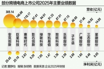 年报里的跨境电商