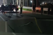 河南一处桥面突然塌陷致1人受伤 道路已封闭