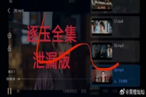 逐玉泄露时间 版权风暴席卷全网