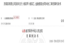 20万借款连带责任争议“落槌” 配偶承诺时效成焦点