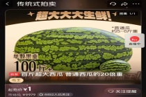 120斤“西瓜王”即将拍卖 1元起拍引关注