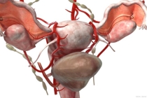 心脏健康红绿灯指标 科学解读+自测指南