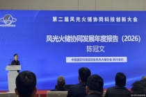 能源转型的“下半场”：光储融合与AI赋能