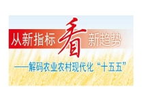 解码农业农村现代化“十五五”丨从“补短板”到“创空间” 开启农村现代化发展新征程
