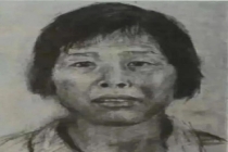 梅姨难抓或是因为长相太普通 长期潜藏终落网