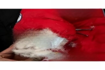 多款知名品牌儿童羽绒服被中消协点名 含绒量陷阱需警惕