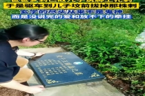 梦到已故儿子脚被扎 父亲来墓前拔刺 爱与牵挂超越生死