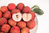 爱吃荔枝的人“天塌了” 桂味糯米糍严重减产