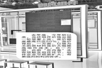 大涨50%！光伏组件新一轮涨价落地，高功率产品占比将显著提升