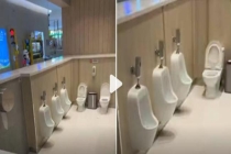 家长带男童去女浴室引顾客不满 隐私与尊严争议