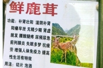 团伙街头“指马为鹿”专骗老人 低价陷阱需警惕
