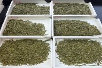 从18个月到三年半 龙井茶标准样品研制有了新突破