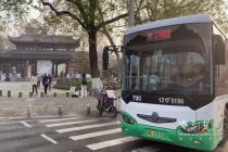 武汉堤角公园千株樱花齐绽放 赏樱客流激增