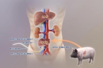 中国科学十大进展"发布：展现科研新突破