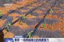春耕是场跨越南北纬度的接力 错峰生产互补供给