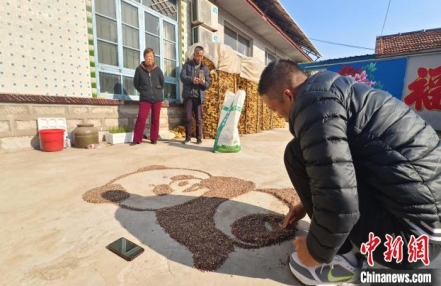 
                    地为画布麦作墨 山东“90后”扎根乡村“追梦”
               
