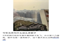 蚊子提前“开工” 有人3月就用蚊帐 南北多地遭遇蚊虫困扰