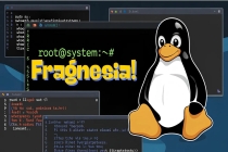 2 周内第 3 个高危漏洞：Linux 内核再曝 Fragnesia 缺陷，本地用户可提权至 root