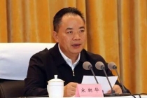 成都市人大常委会原副主任被双开 涉嫌受贿罪遭逮捕