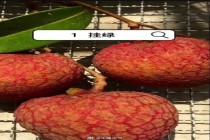 爱吃荔枝的人今年天塌了 价格波动大