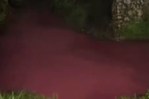 企业处理废水不及时致河水被染色 环境部门将立案调查