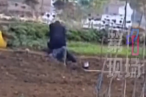 派出所谈男子骑女子身上殴打：需要时间处理