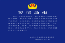 武汉萝卜快跑行驶中突然停车，系统故障导致