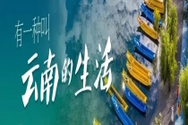 “冰淇淋小番茄”，试种成功！