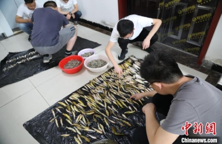 
                    长江流域宁马段非法采砂问题基本绝迹
               